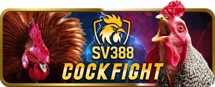 Cấp độ VIP Đồng của s666me code
